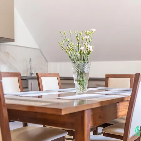 公寓 Przy Wyciagu, Myweek 卡尔帕奇